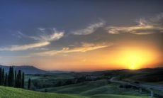 安忠春姓名评分81分