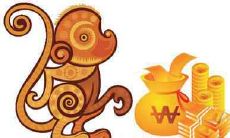 2020年属猴的人最忌讳什么颜色?