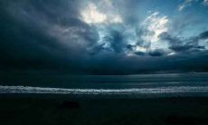 木猴的性格和命运 木猴的运势及运程