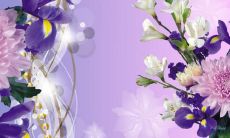 安义轩姓名评分81分