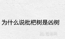 为什么说枇杷树是凶树 是旺财镇宅的树吗