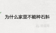 为什么家里不能种石斛