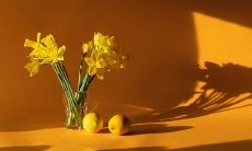 挂什么画对家庭气运好 客厅挂动植物图吉利吗