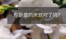 你卧室的床放对了吗?