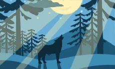 郑州非物质文化遗产都有哪些?