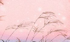 传统习俗之湖南结婚习俗