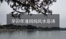 辛卯年准妈妈风水忌讳