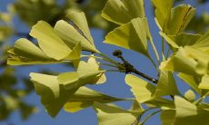 谭姓宝宝取名字大全 寓意好的名字推荐