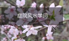 庭院风水学问