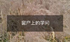 窗户上的学问