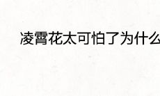 凌霄花太可怕了为什么 代表着什么风水寓意