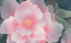 家里千万不可养昙花为什么 在风水里表示什么寓意