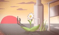 清蒸鸡是什么地方的菜呢?