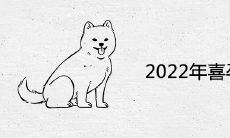 2022年喜孕的生肖