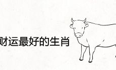 未来十年财运最好的生肖