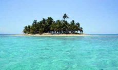 1999年属兔的人今年几岁了2021年