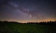 属虎水瓶座2021年运势及运程如何