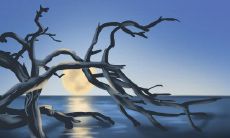 客厅可以挂八骏图吗?马到成功?