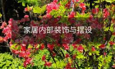 家居内部装饰与摆设
