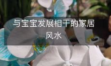 与宝宝发展相干的家居风水