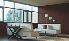 罗汉松养殖在家里有什么风水禁忌吗