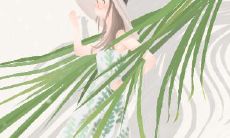 客厅风水:客厅的财位放什么好?