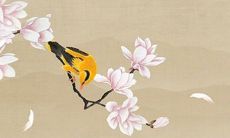 2022年农历九月份中最适合搬家乔迁的吉日 宜移居佳期