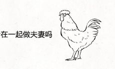 属鸡和属鸡适合在一起做夫妻吗