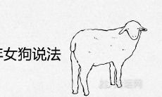 91年男羊94年女狗说法