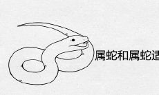 属蛇和属蛇适合在一起做夫妻吗