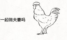 属蛇和属鸡适合在一起做夫妻吗