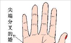 婚姻线分叉图解,代表什么意思?