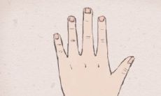 手相解说:食指比无名指短代表什么