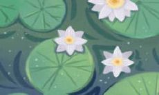 解析:什么是死鱼眼?