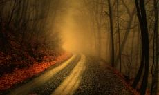 杭宇澄姓名评分69分