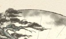 图解山根有黑线说明了什么?