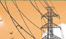 金牛座最爱和最恨的新年祝福