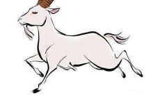 属羊人2022年10月运势运程详细解析 生肖羊2022年10月运气如何