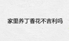 家里养丁香花不吉利吗