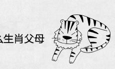 虎宝宝跟什么生肖父母合适