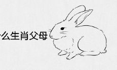 兔宝宝适合什么生肖父母