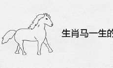 生肖马一生的财运贵人