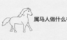 属马人做什么行业发财