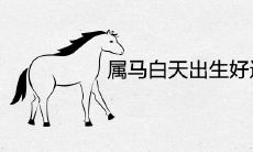 属马白天出生好还是夜晚好