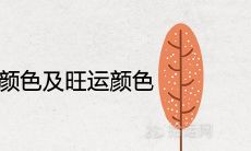 桑柘木命忌讳的颜色及旺运颜色