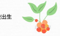 好命男人一般出生在这几天 哪天出生婚姻美满福气大