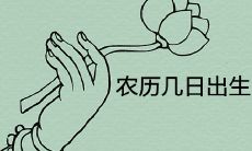 农历几日出生的人后代出息大