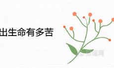 男人子时出生命有多苦 一生有哪两种命