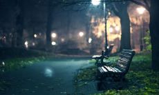 花海民姓名评分95分