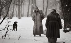 郝跃军姓名评分66分